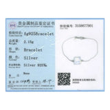 AAA+ Crystal 925 Sterling Silver Bracelet Charm for Women