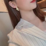 Irregular Multilayer Metal Earrings for Women