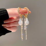 Silver Tassel Long Earrings Sexy Pearl INS Jewelry
