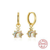 925 Silver Oval Natural Stone Pendant Earrings - 6 Styles
