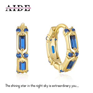 S925 Silver Rose Geometry Zirconia Hoop Earrings for Women