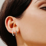 S925 Silver Rose Geometry Zirconia Hoop Earrings for Women