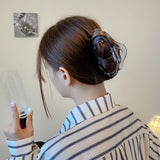 Large Grab Hair Clips for Women, Transparent Back Shark Cawl Clips