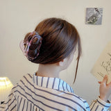 Large Grab Hair Clips for Women, Transparent Back Shark Cawl Clips