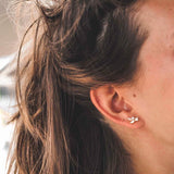 925 Silver Leafs Champagne Zircon CZ Stud Earrings Women Wedding Jewelry
