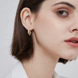 Silver Twist Wave Hoop Earrings Golden French Style