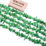 5 Strands Green Coral Gems Stone Loose Beads 16'' Jewelry Making DIY