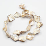 5 Strands Gray Square Sea Shell Mother of Pearl Beads 15.5''
