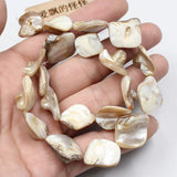 5 Strands Gray Square Sea Shell Mother of Pearl Beads 15.5''