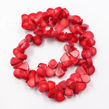 APDGG Red Coral Fan Gemstone Beads 15'' Strands DIY Jewelry