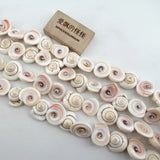APDGG Conch Shell Beads 15.5'' for Jewelry Making DIY