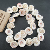 APDGG Conch Shell Beads 15.5'' for Jewelry Making DIY