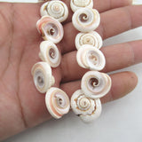 APDGG Conch Shell Beads 15.5'' for Jewelry Making DIY