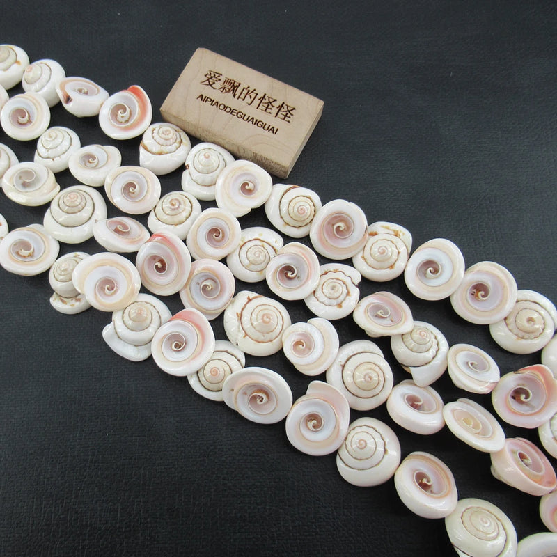 APDGG Conch Shell Beads 15.5'' for Jewelry Making DIY