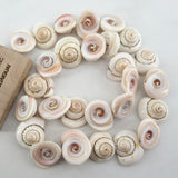 APDGG Conch Shell Beads 15.5'' for Jewelry Making DIY