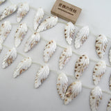 APDGG Natural Leaf Shell Feather Beads 14.5'' DIY