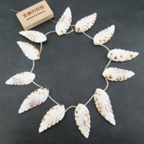 APDGG Natural Leaf Shell Feather Beads 14.5'' DIY