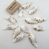 APDGG Natural Leaf Shell Feather Beads 14.5'' DIY