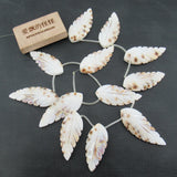 APDGG Natural Leaf Shell Feather Beads 14.5'' DIY