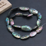 Natural Paua Abalone Shell Nugget Beads 15'' For Jewelry Making