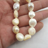 5 Strands Natural Tooth Shell Pearl Beads 15'' Jewelry Making DIY