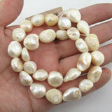 5 Strands Natural Tooth Shell Pearl Beads 15'' Jewelry Making DIY