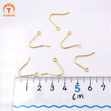 ASA&TESS 50Pcs Brass Hook Ear Wires Earring Hooks Fish Hook Earring French Hooks