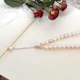 Freshwater Pearl Choker Necklace with 925 Silver Clasp