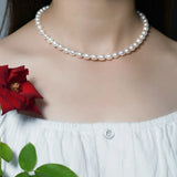 Freshwater Pearl Choker Necklace with 925 Silver Clasp