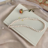 Natural Pearl Necklace 925 Silver Jewelry Women Gift