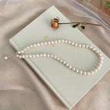 Freshwater Pearl Necklace 925 Silver Jewelry for Women