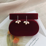 Freshwater Pearl 925 Silver Earrings for Women