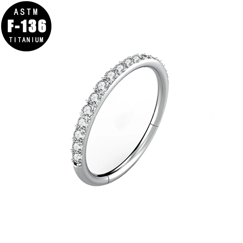 Titanium Hinged Segment Hoop CZ Pave Helix Cartilage Earring