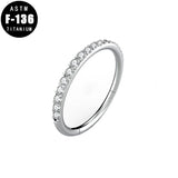 Titanium Hinged Segment Hoop CZ Pave Helix Cartilage Earring