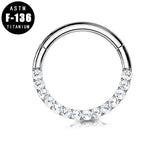 Titanium Hinged Segment Hoop Rings with Cz Paved Front
