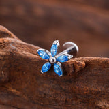 Colorful Zircon Titanium Nose Stud & Earring Set