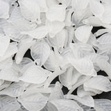 Acrylic Leaf Pendants 18x11mm for Jewelry Making DIY