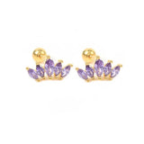 2pcs 925 Sterling Silver Purple Zircon Piercing Earrings Set