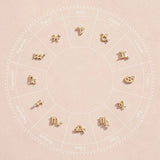 925 Silver Zodiac Stud Earrings CZ Zircon Constellation Jewelry Gift