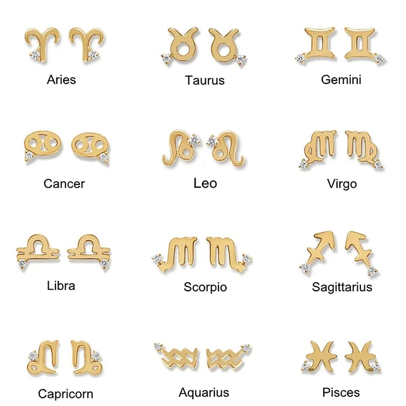 925 Silver Zodiac Stud Earrings CZ Zircon Constellation Jewelry Gift