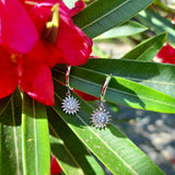 925 Silver CZ Sun Moon Star Hoop Earrings Evil Eyes Butterfly Cactus