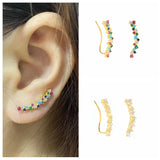 925 Silver Flower Rattan Stud Earrings Rainbow Zircon Ear Climber