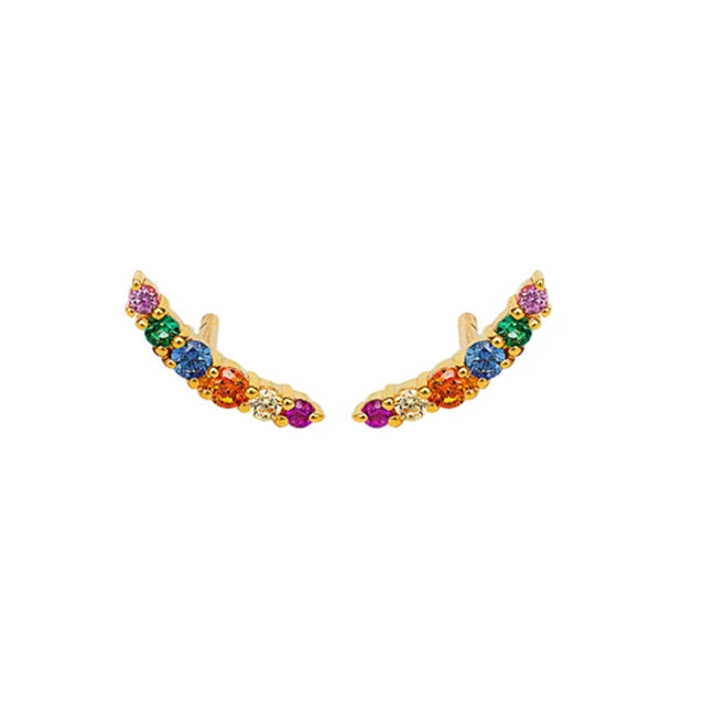 925 Silver Flower Rattan Stud Earrings Rainbow Zircon Ear Climber