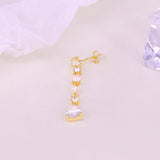 925 Silver Water Drop Zircon Tassel Earrings for Women