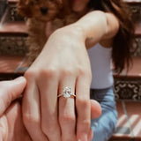 925 Silver Sparkling CZ Zircon Rings for Women Wedding