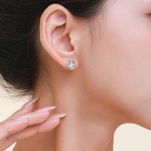 925 Silver Sea Turtle Zircon Stud Earrings Women Fine Jewelry