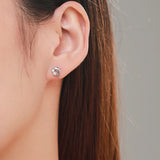 Dolphin Stud Earrings 925 Sterling Silver Zircon Animal Earrings Women