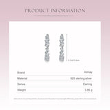 Irregular Geometric Zircon Earrings 925 Silver