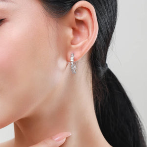 Irregular Geometric Zircon Earrings 925 Silver