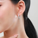 Irregular Geometric Zircon Earrings 925 Silver